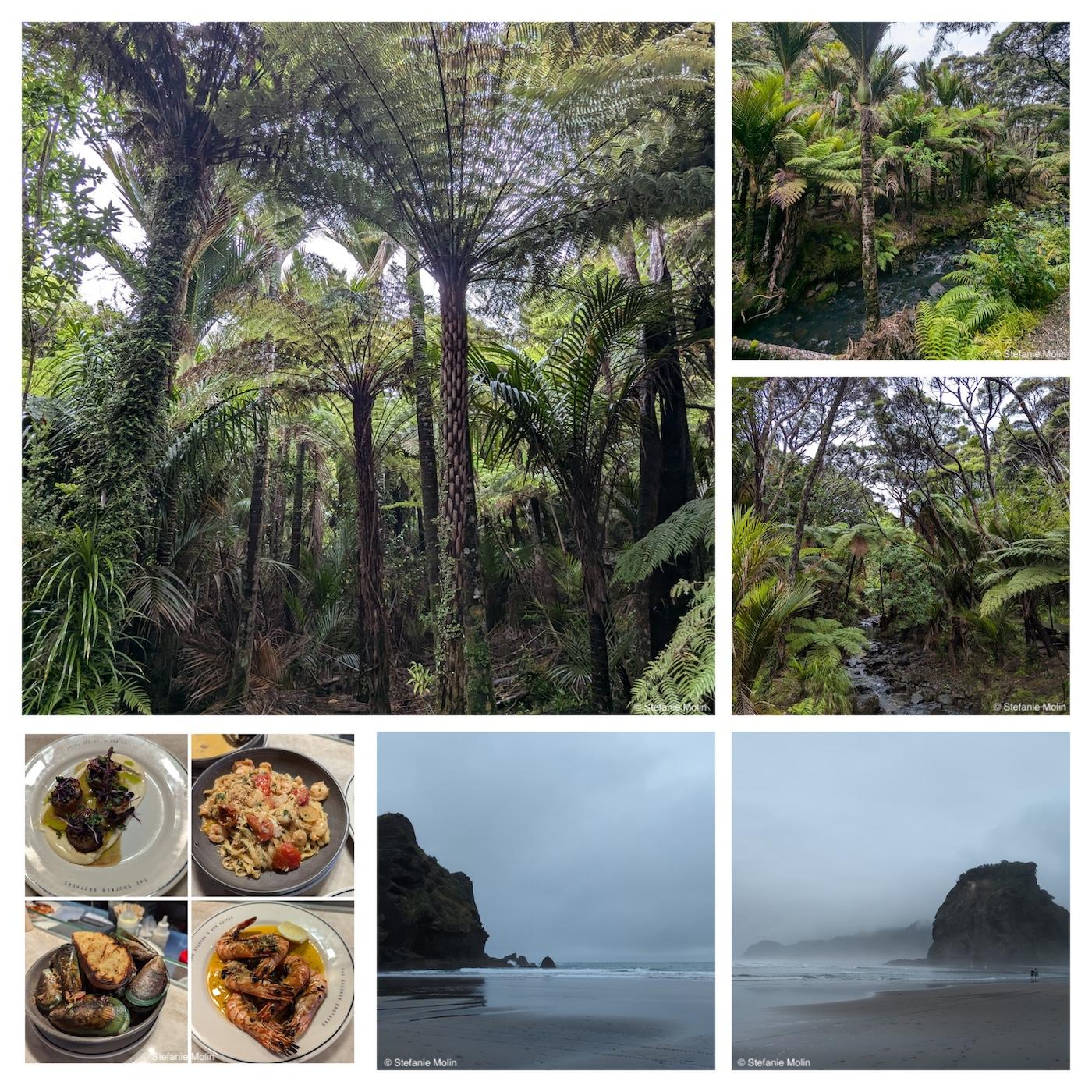collage of photos from Auckland