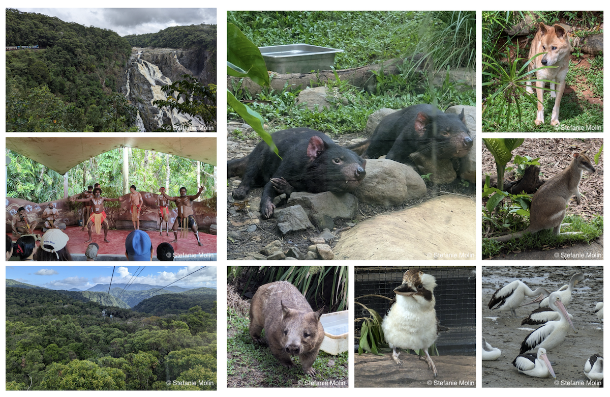 collage of photos from Cairns