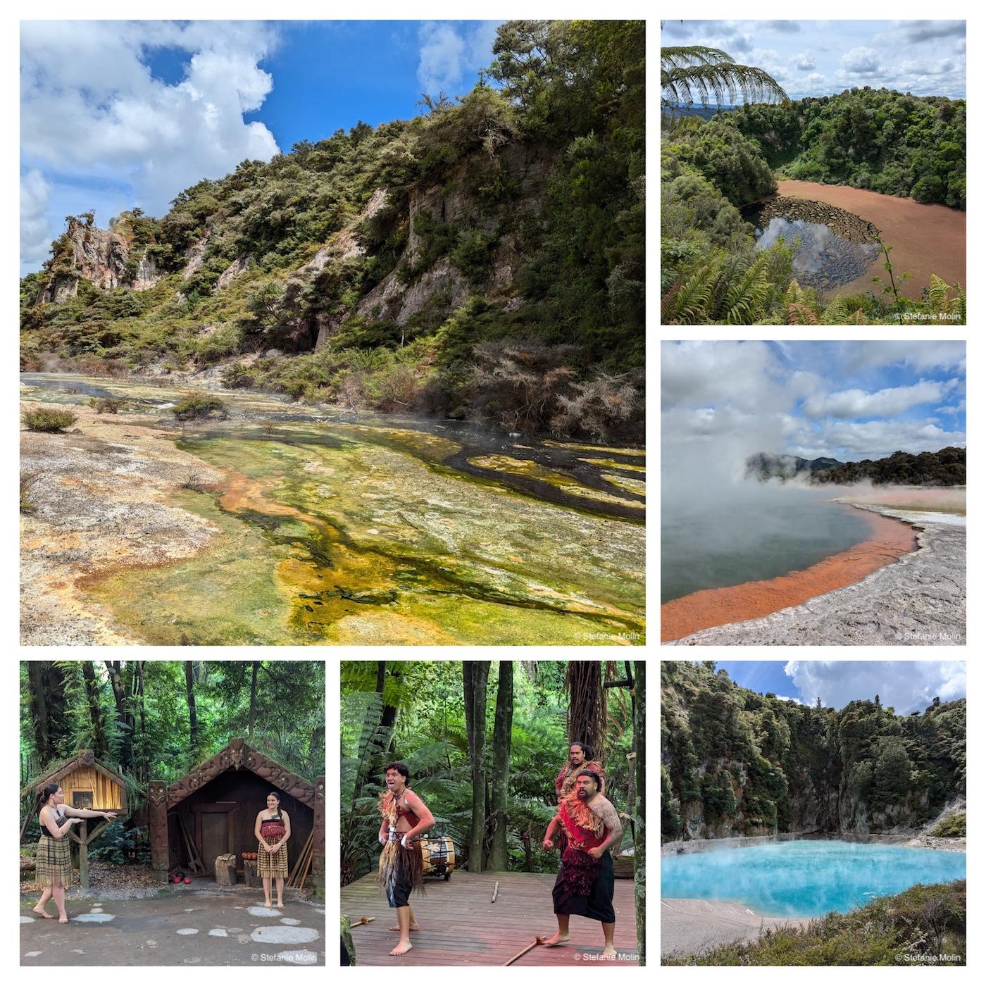 collage of photos from Rotorua