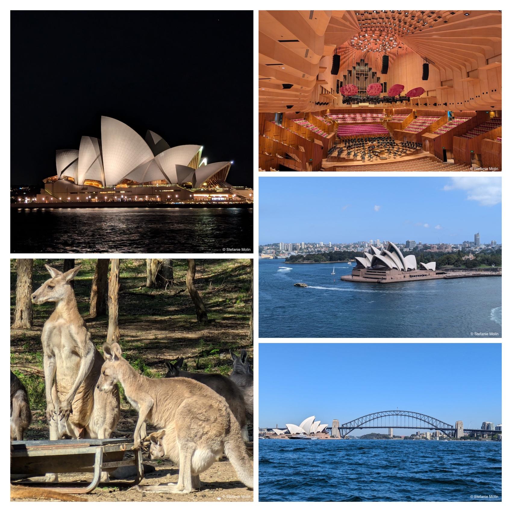 collage of photos from Sydney